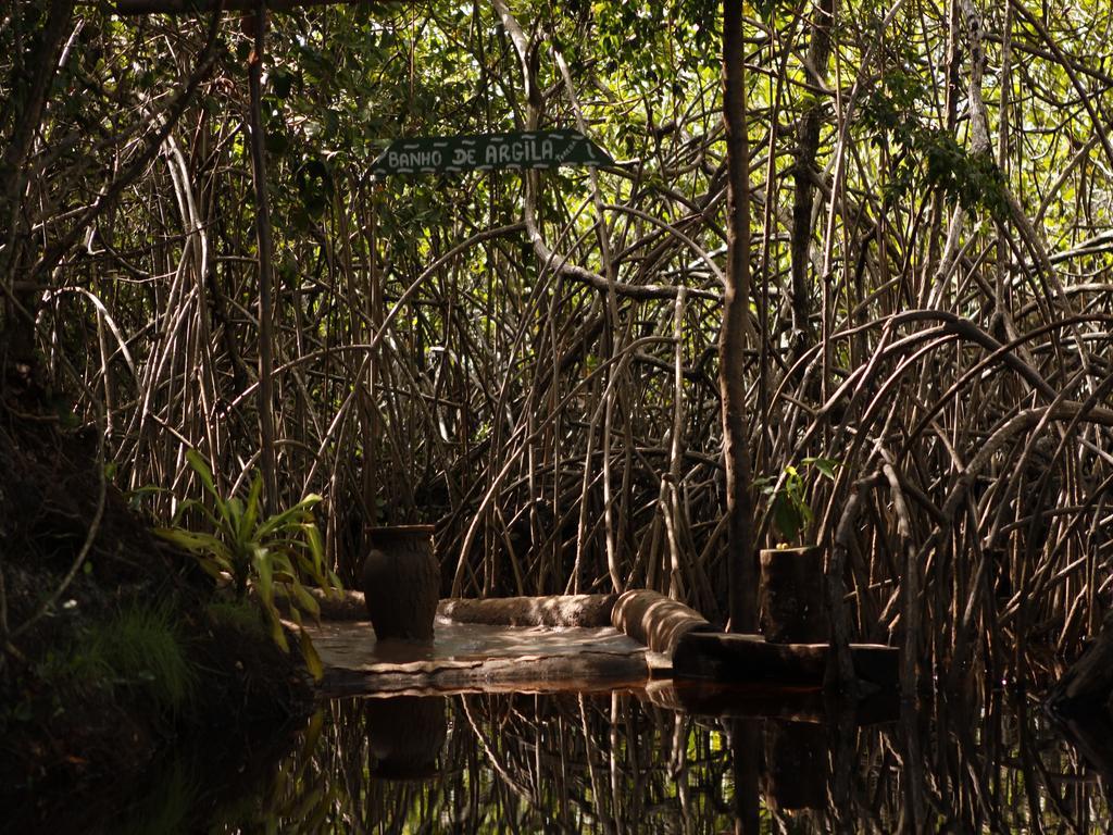 Pousada La Bonita Baía Formosa Eksteriør billede